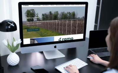 Création de site internet à Sarreguemines